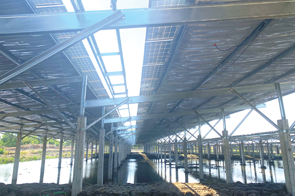 Dự án Nuôi trồng thủy sản kết hợp mái che tấm pin Năng lượng mặt trời